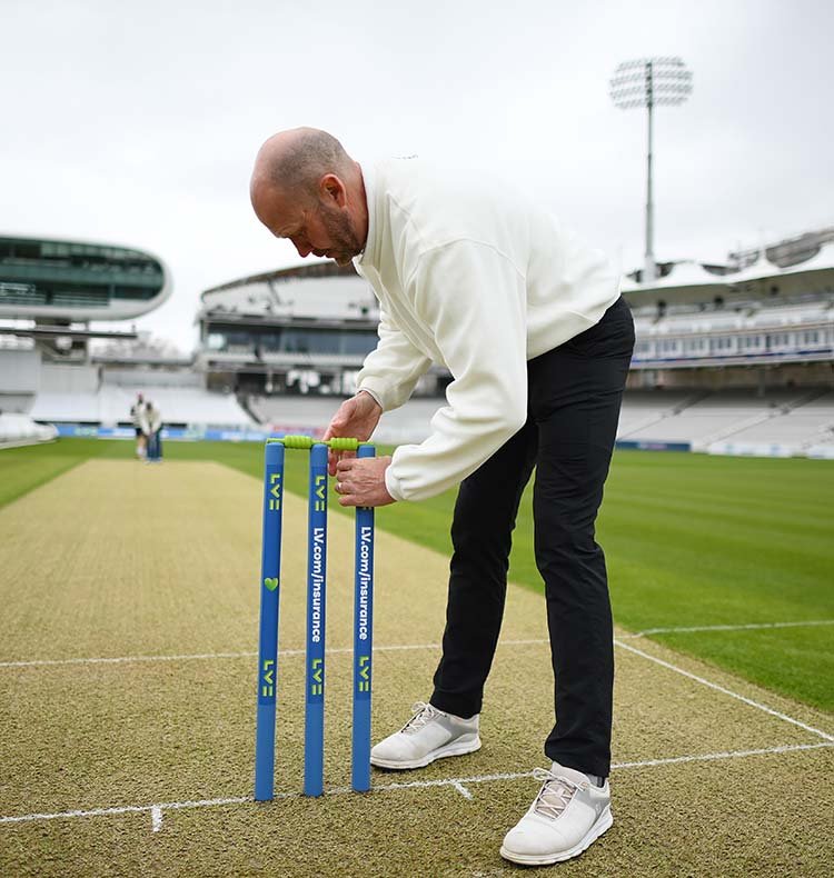 The wickets